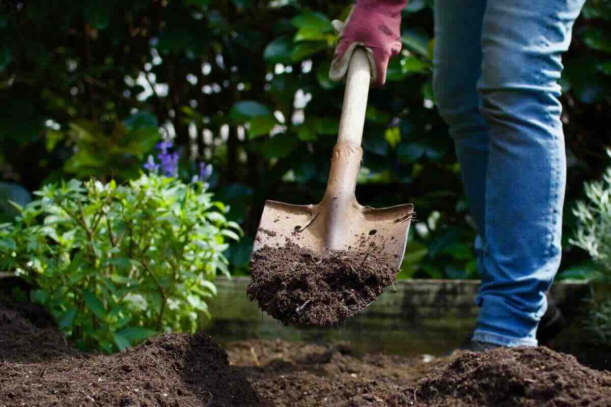 Cosa fare se trovi un oggetto di valore nel giardino