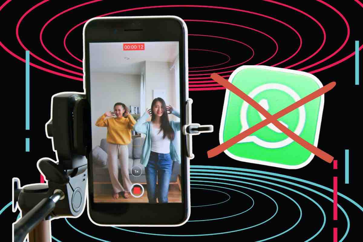TikTok con una mossa affossa Whatsapp utenti pronti a trasferirsi